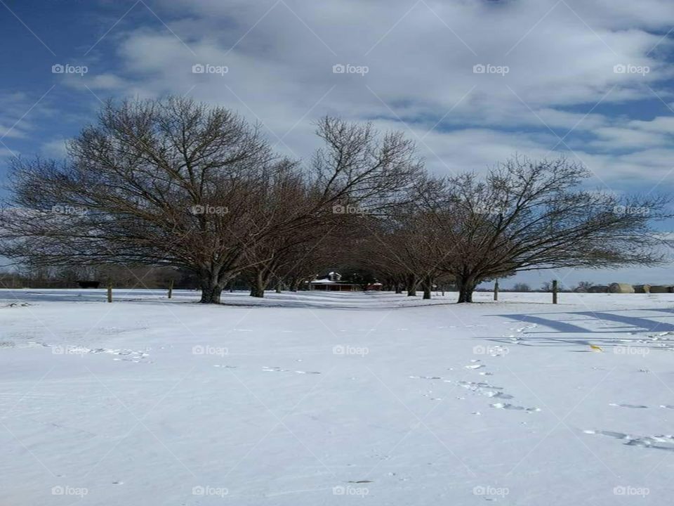 kinston North Carolina