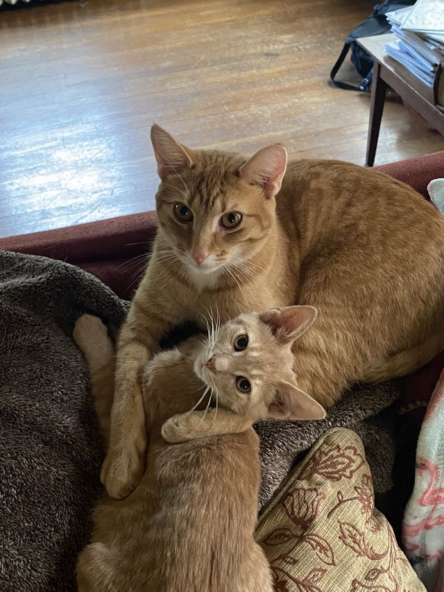 The two children 