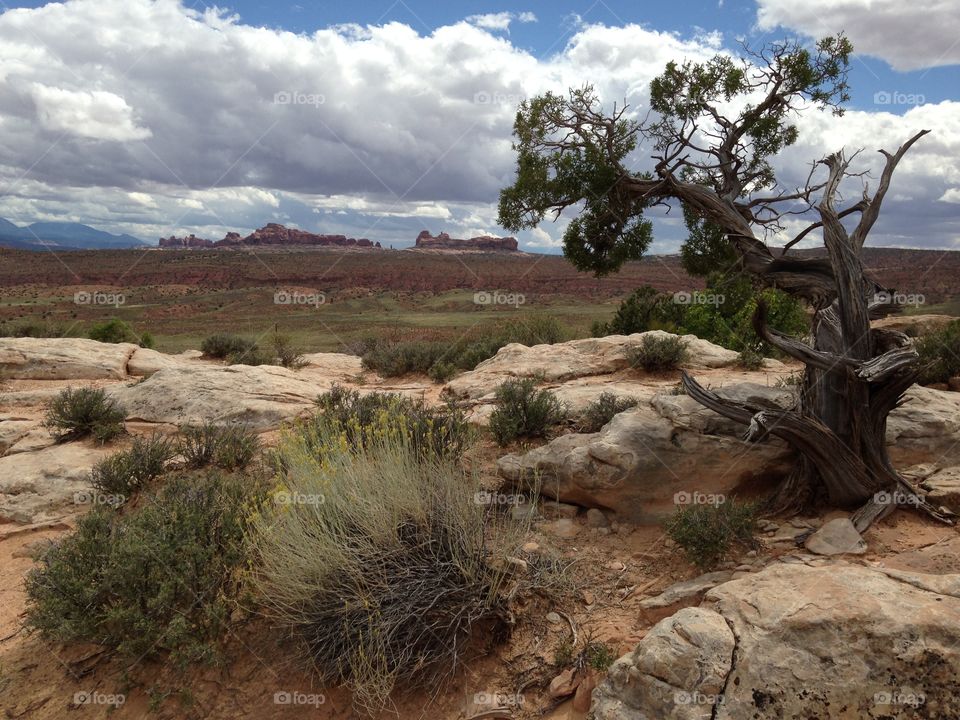 Arches National Park, Utah