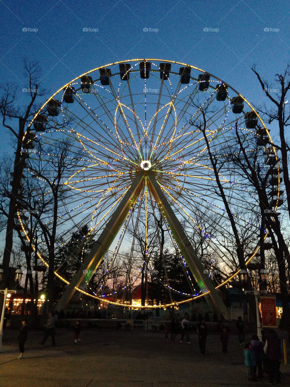 FERRIS WHEEL AT NIGHT