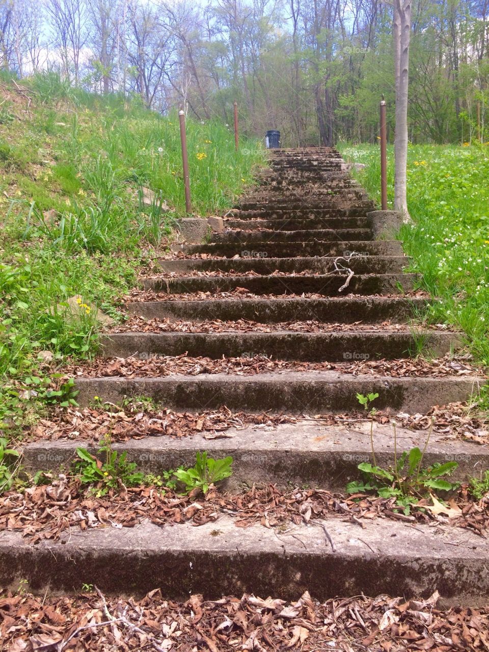 Stone stairs going up