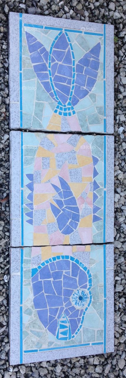 Mosaic barracuda fish stepping stones