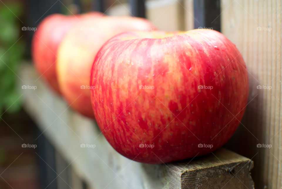 Closeup beautiful red apples in row on wood fence healthy food and lifestyle choices photography background 
