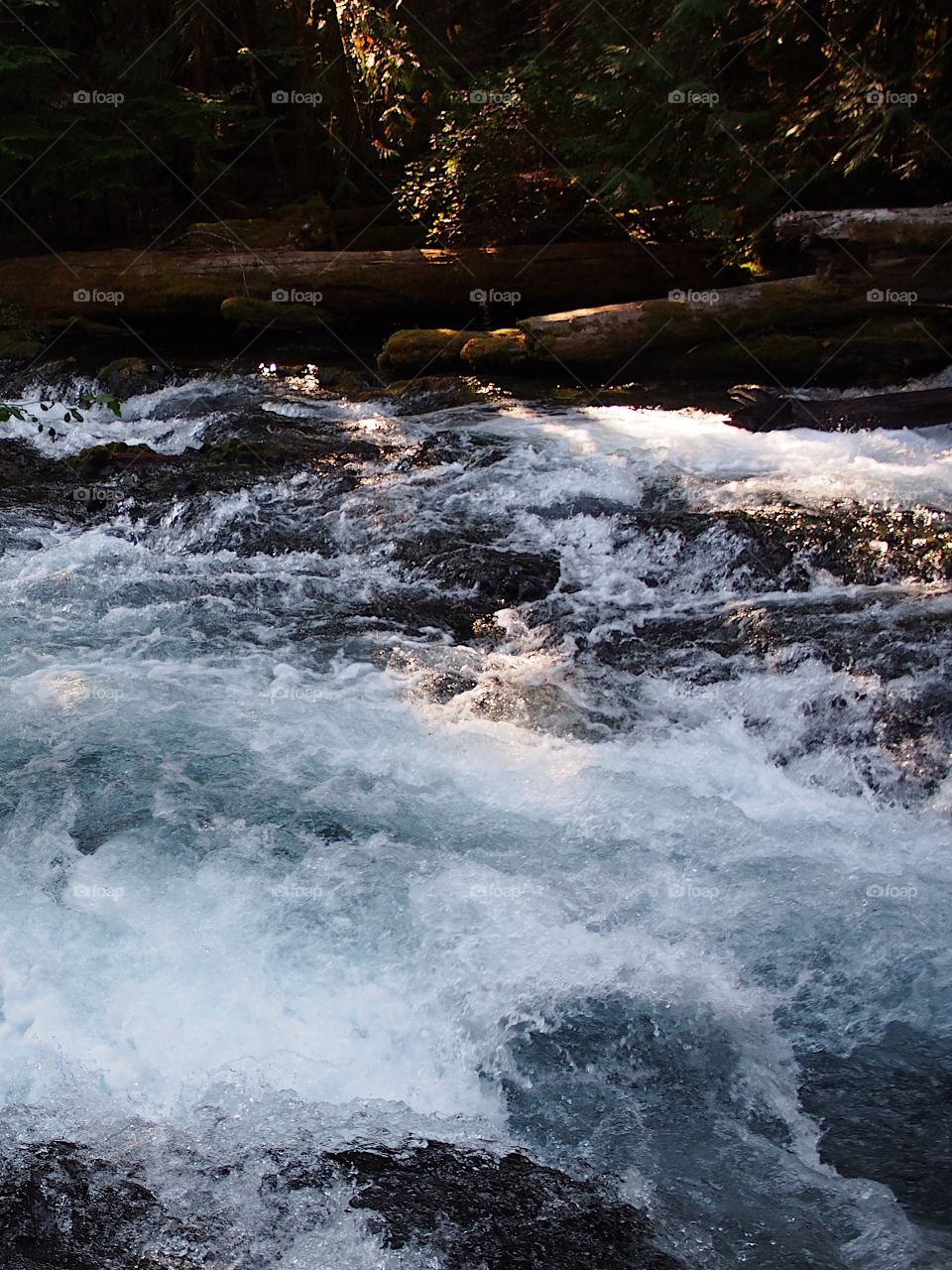 Illuminated rapids on the McKenzie River on a fall evening 