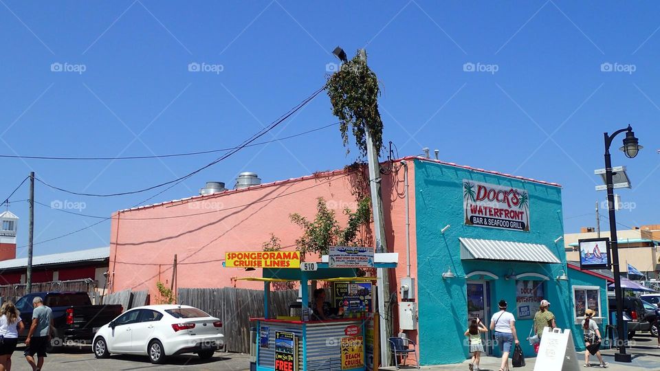 Vine growing in unusual spot on side of store and up to top of electric pole