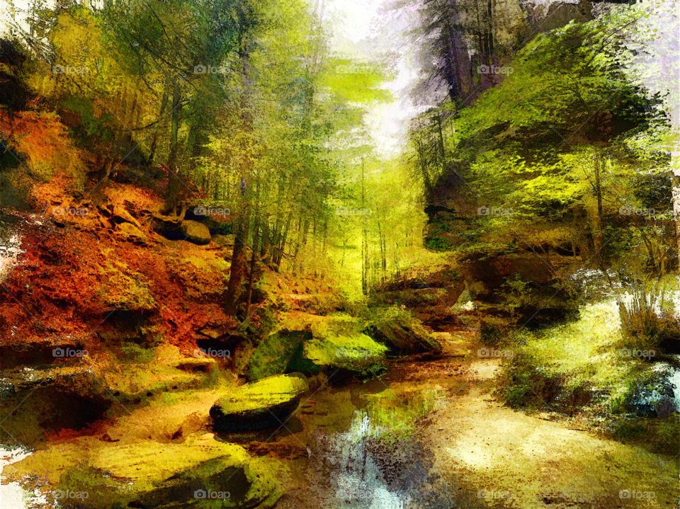 Digital watercolor painting of a stream along the Hocking Hills trail.