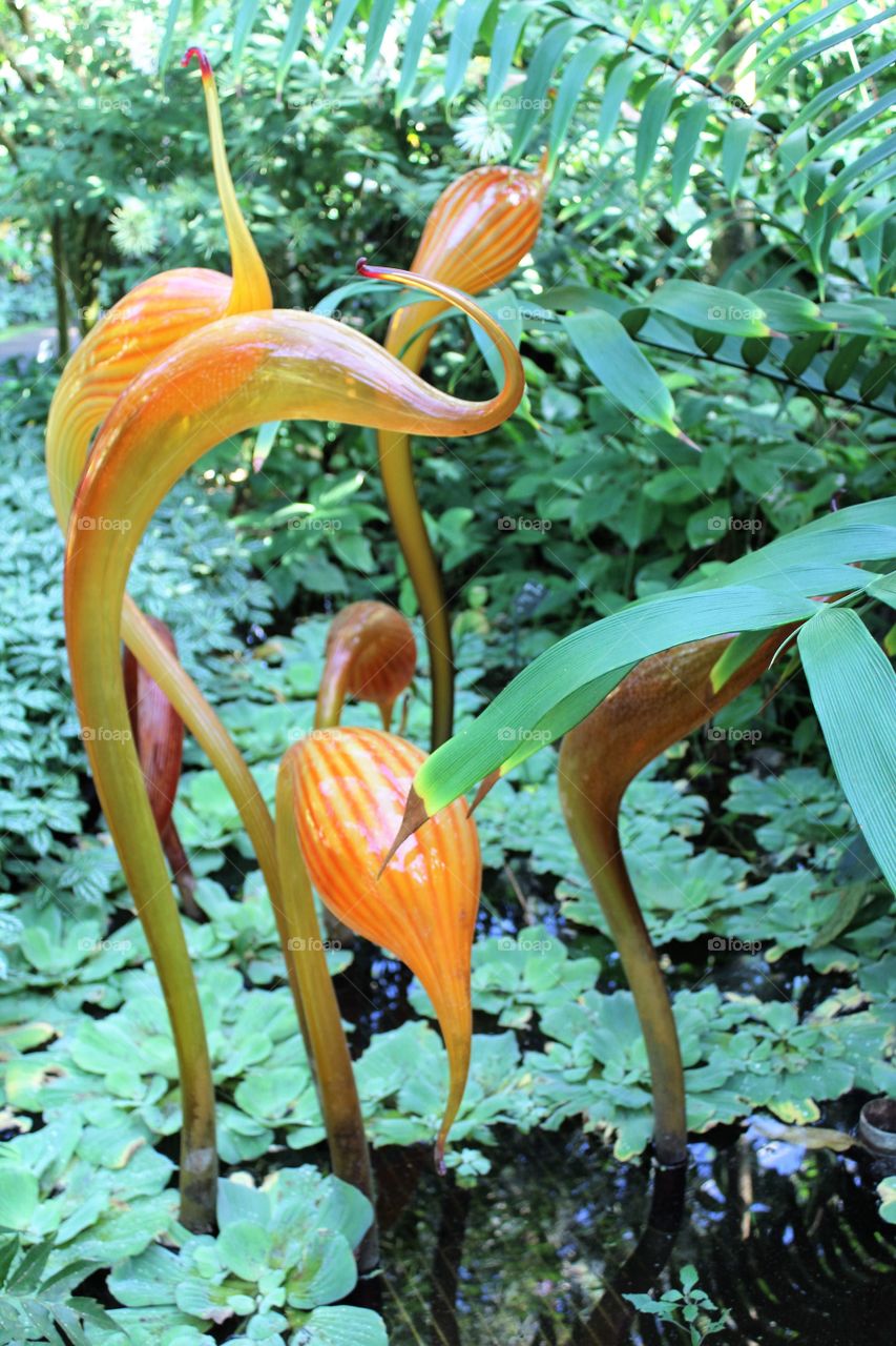 Orange glass 