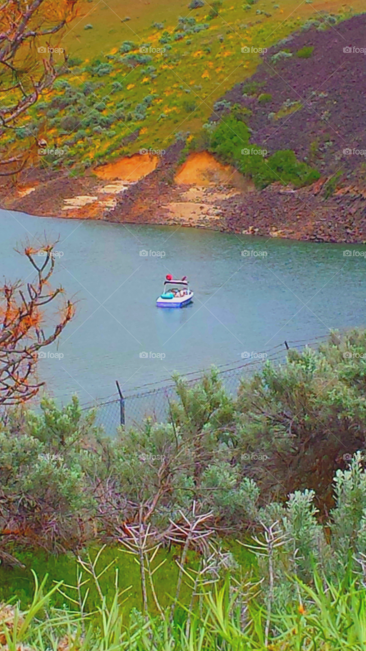 "Lucky Peak Lake Cove"