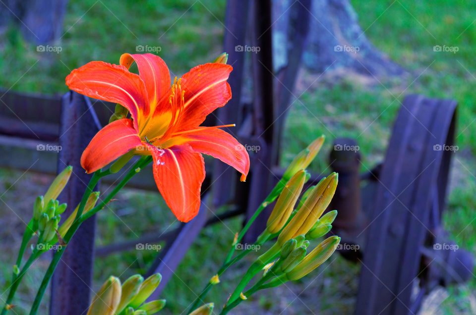 Take the Nostalgic Way Home ( Series )