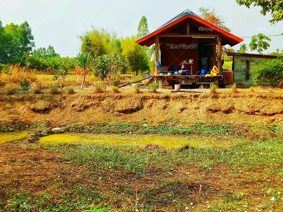 Arguing rice fields, dry wells, agriculture