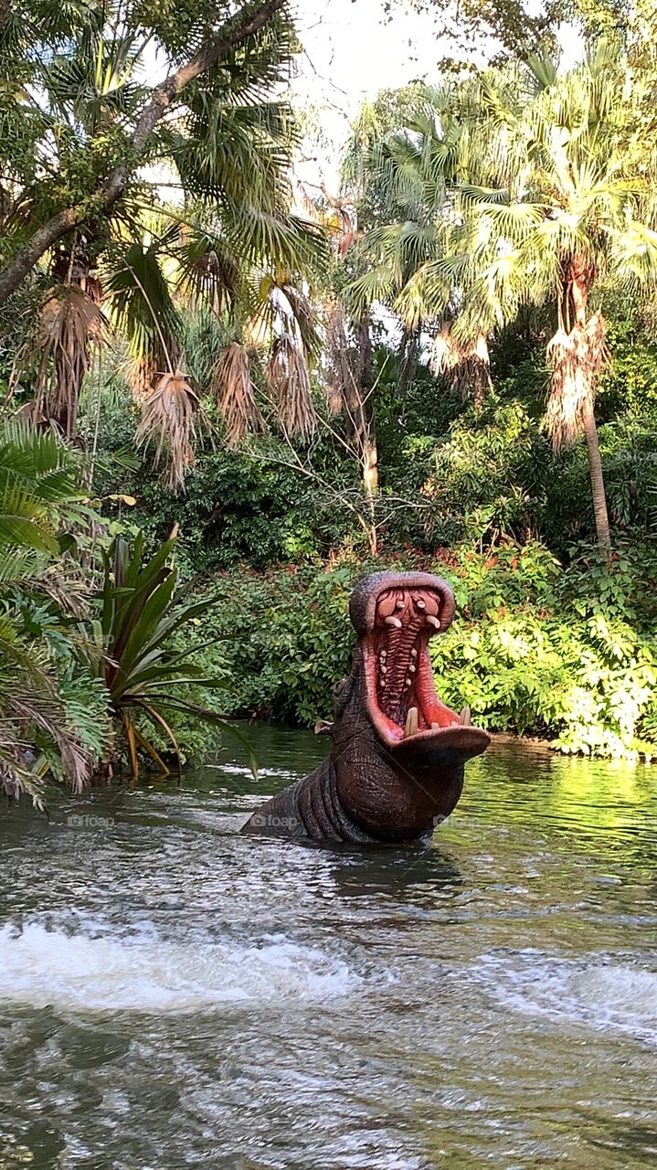 FL themeparks find VIDEOS @selsacamacho TICTOK @Selsa_Susanna IG or https://www.facebook.com/selsa, YouTube Selsa_Susanna mail: 1700 Celebration Blvd, unit 1019, Celebration, FL 34747