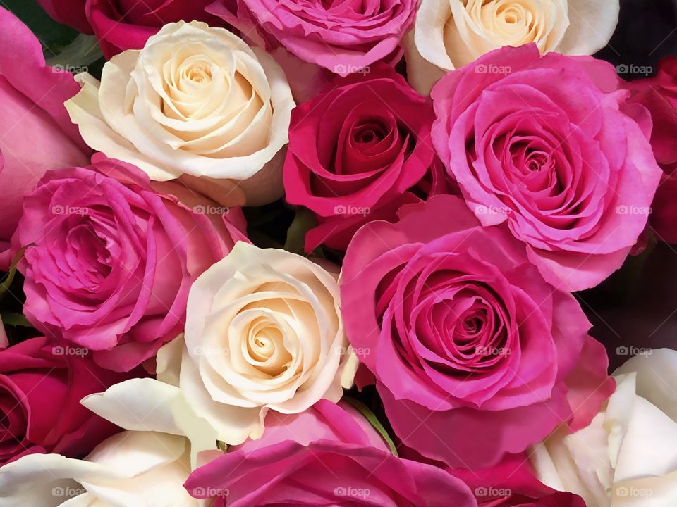 Beautiful pink and red rose bouquet .