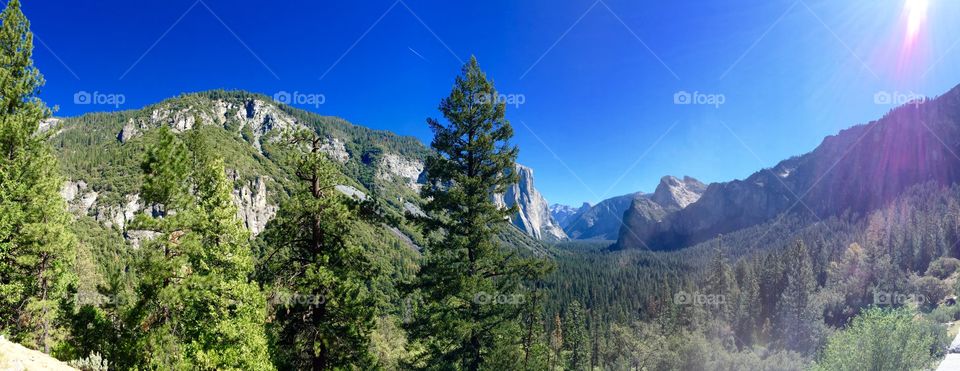 Panoramic shot of Yosemite national park