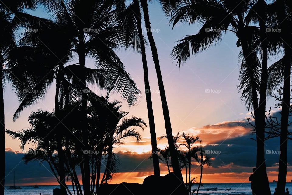 There is nothing to compare to the sunsets of Honolulu on a crisp spring night. 