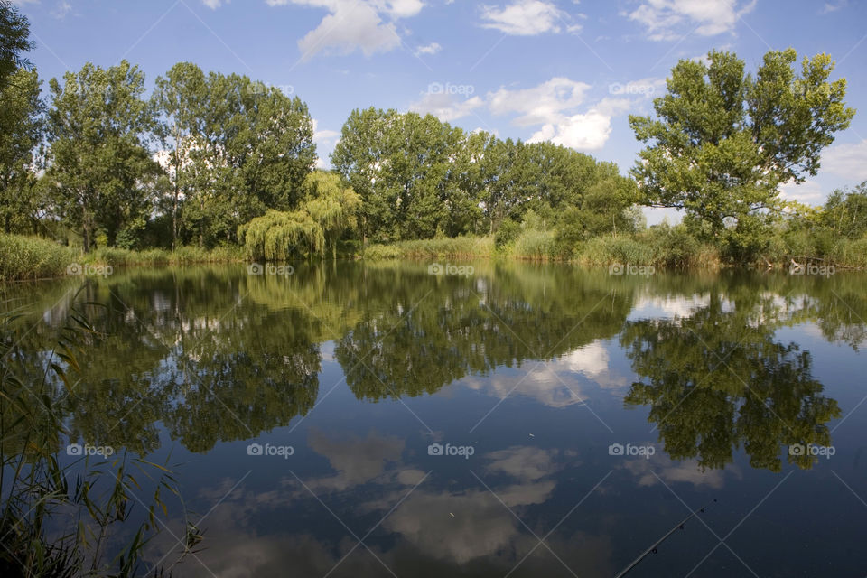 Tree, Landscape, Nature, Lake, Reflection