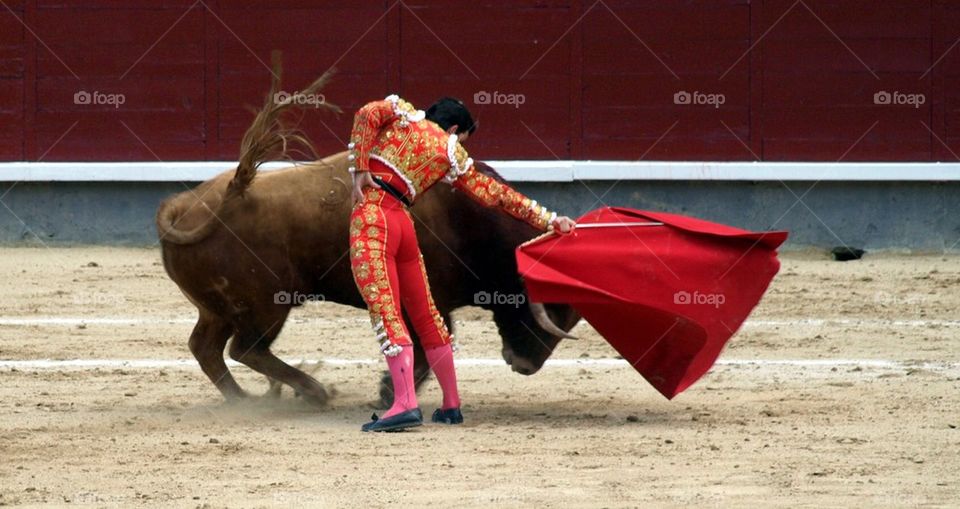 Bullfight in Madrid 