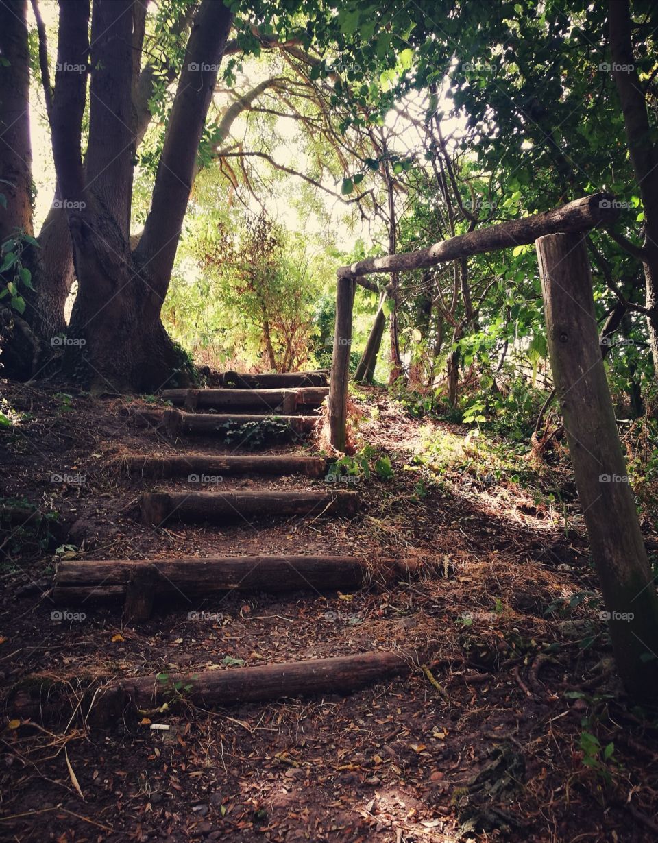 staircase to nature
