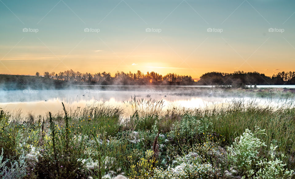Morning Sunrise Pond