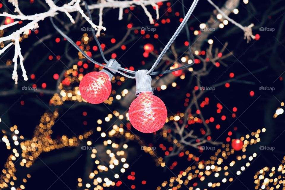 Beautiful Christmas lights 