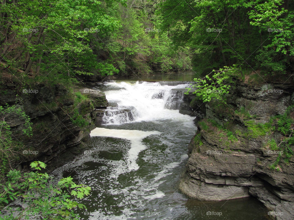 nature trees waterfall river by danelvr032708