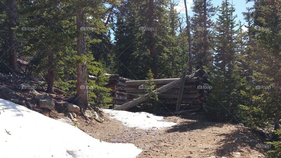 Snow on the trail