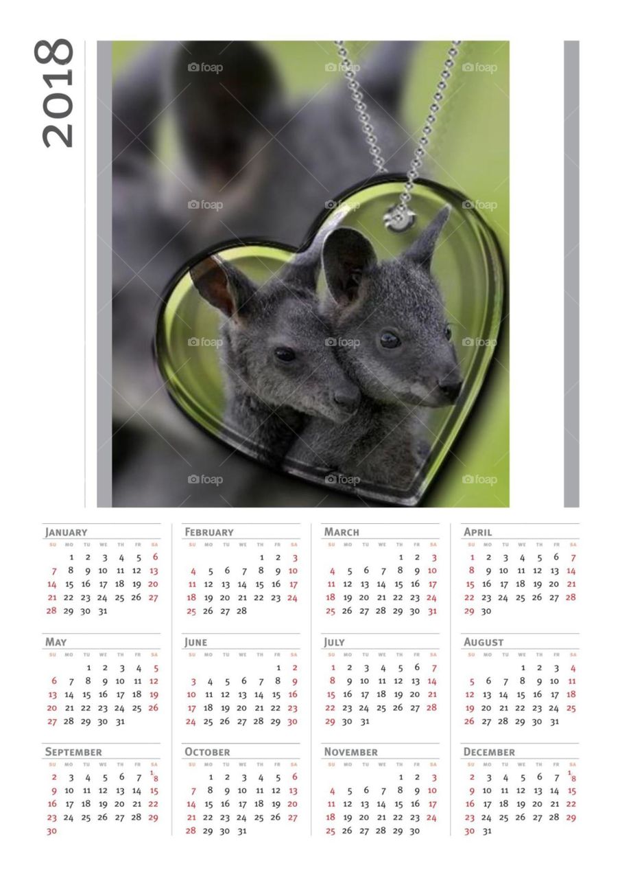 Calendar, Date, Desktop, Time, Animal