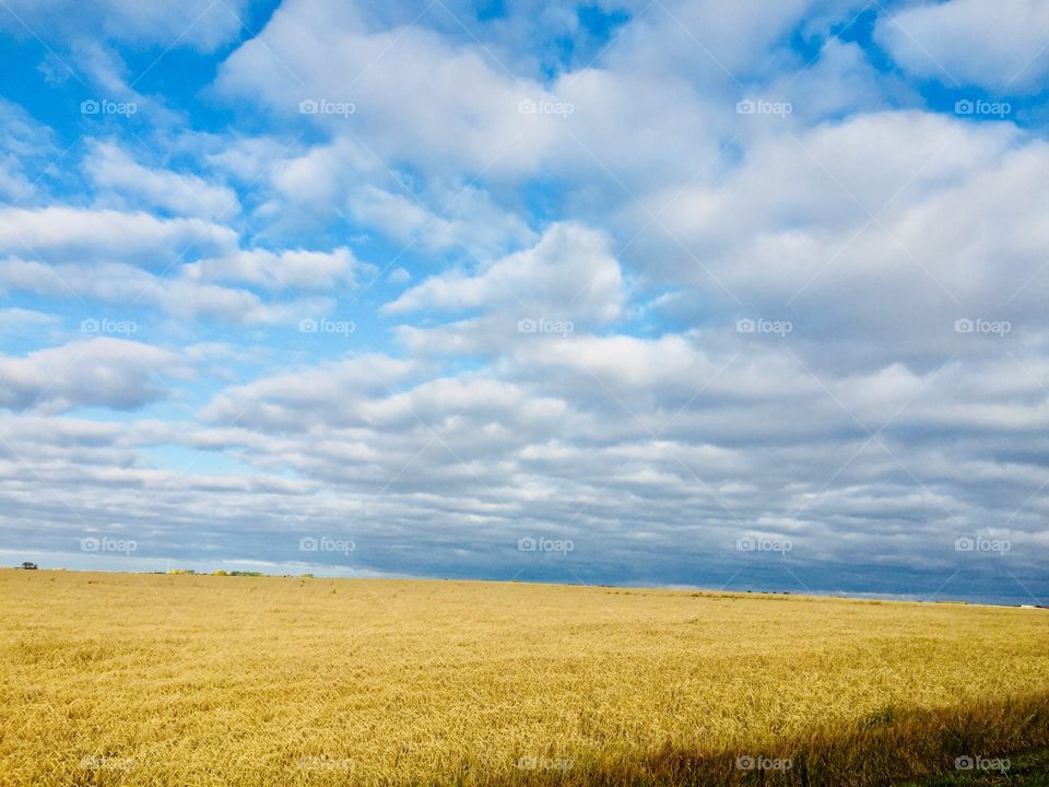 Prairie sky 