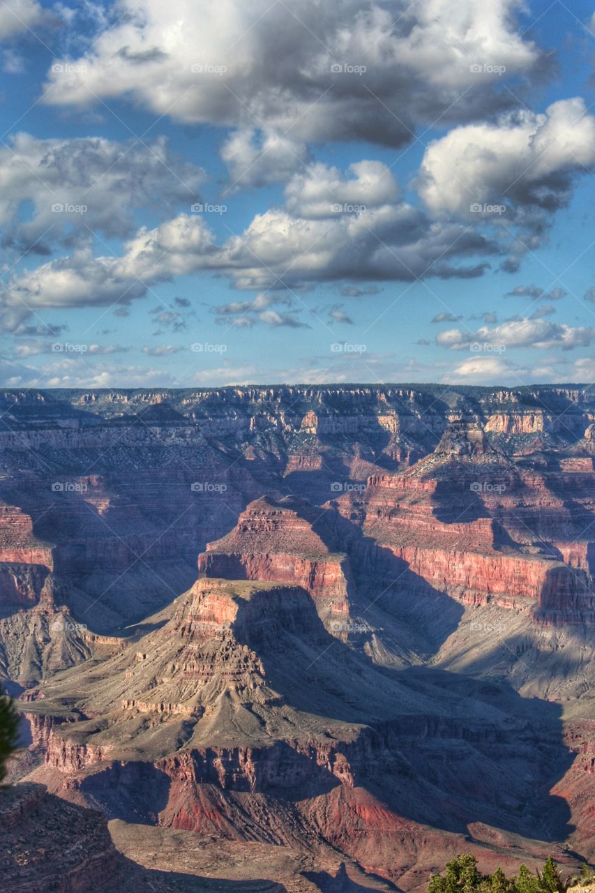 The Grand Canyon national park