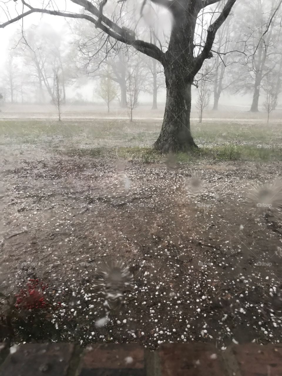 Hail on ground 