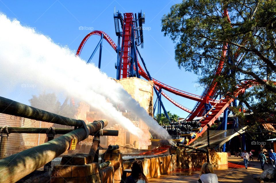 Sheikra roller coaster, busch gardens