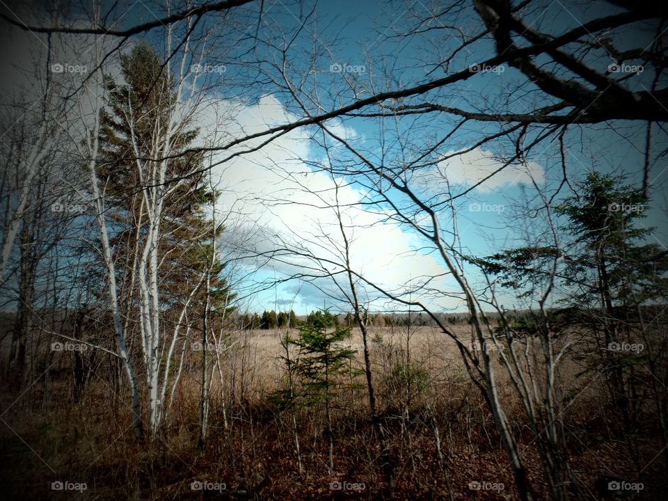 Drummond Island, Michigan 