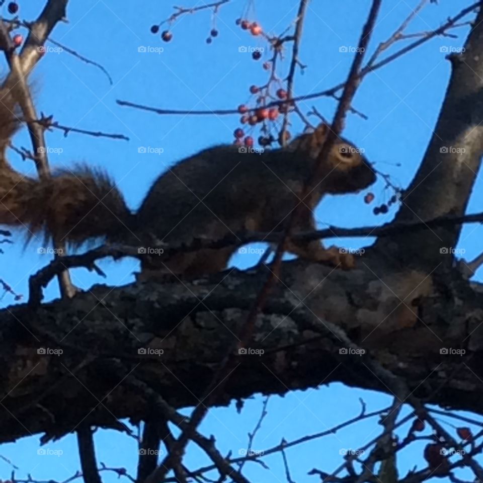 Getting ready for winter