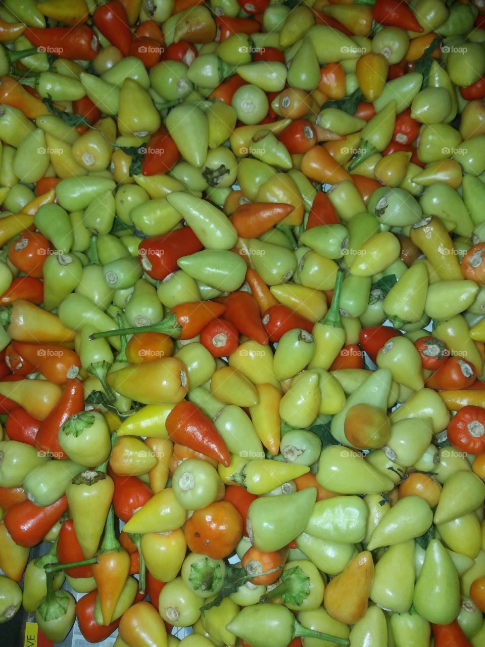 little hot peppers