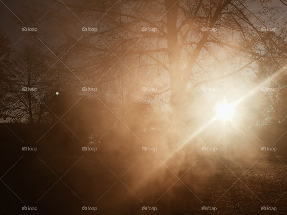 Autumn mist at sunrise. Morning mist in park with rising sun