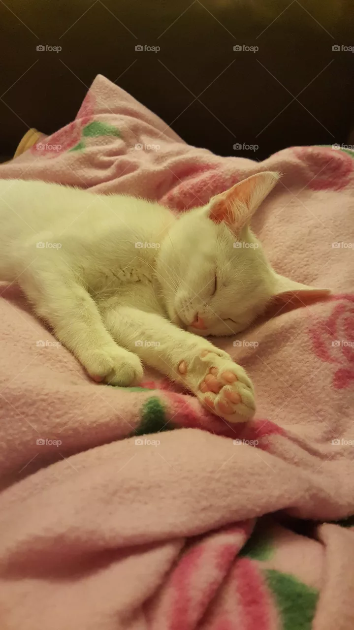 Sleep well!