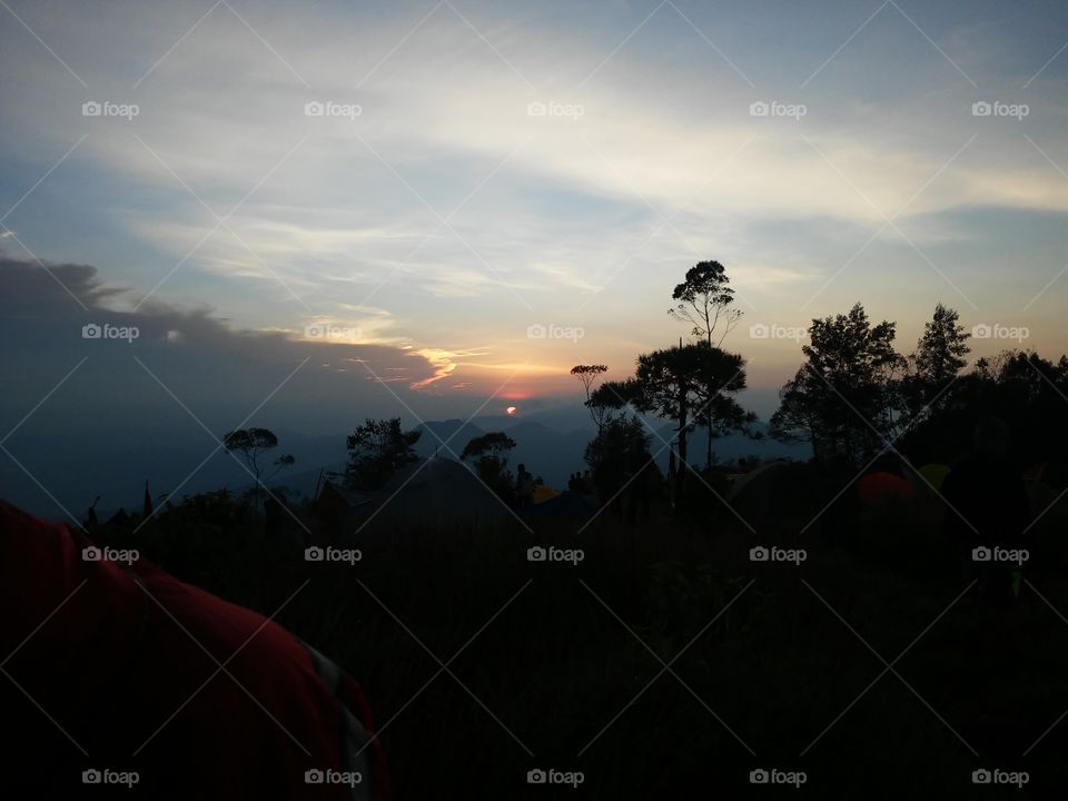 Sunset, Landscape, Dawn, Backlit, Tree