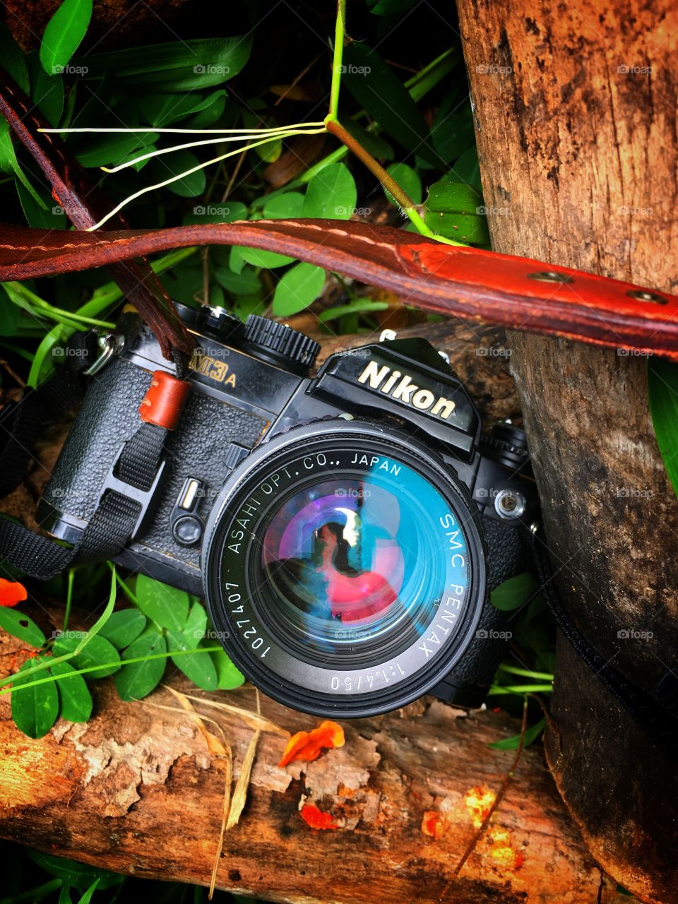Film camera in the forest