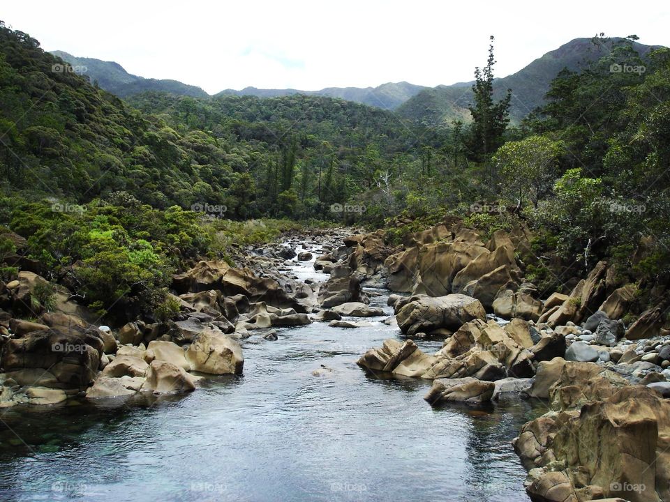 Nature new Caledonia