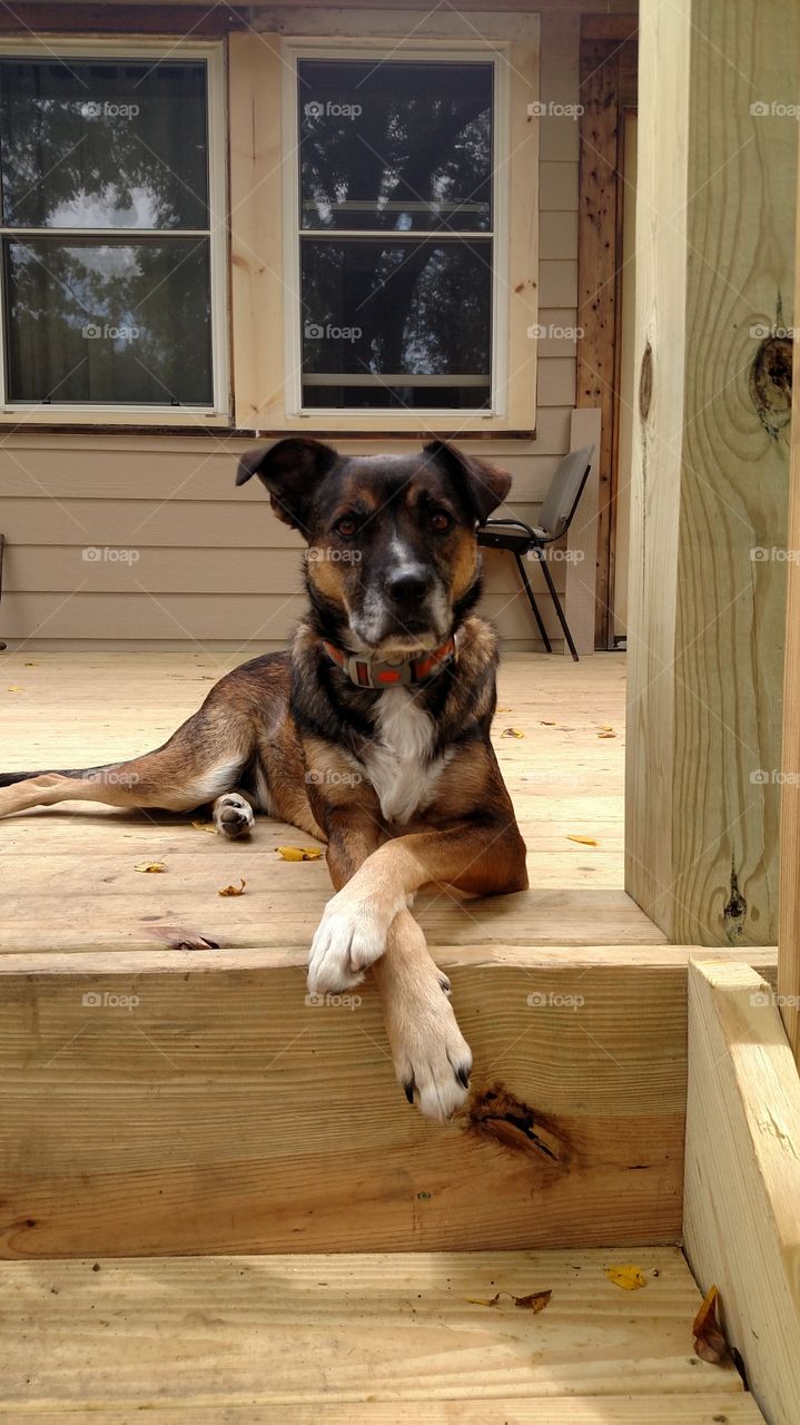 Such a sweet little girl