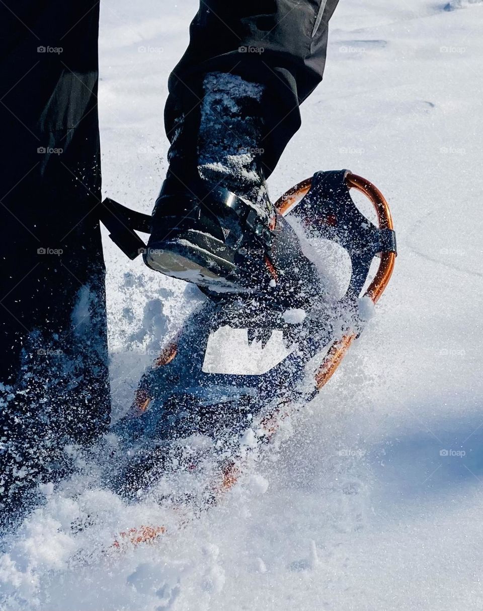 Closeup of a snowshoe on the go.