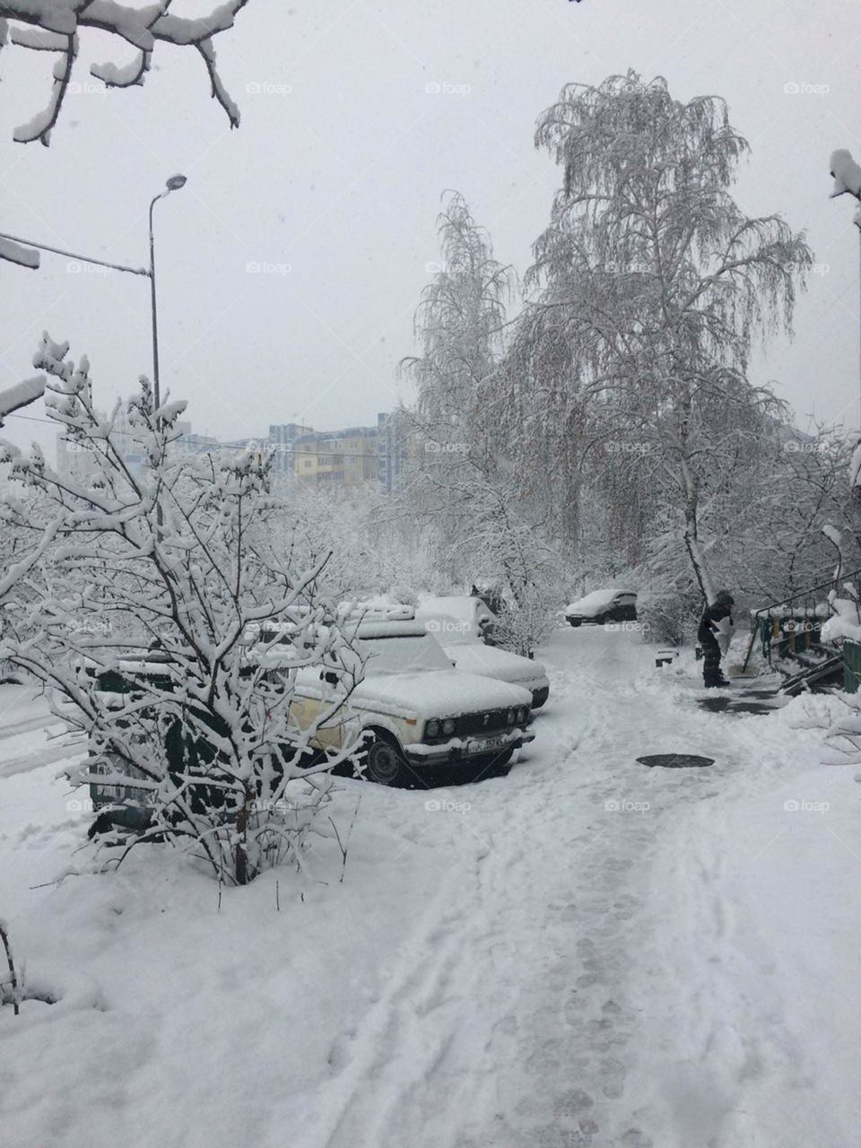 Winter yard in Ukraine