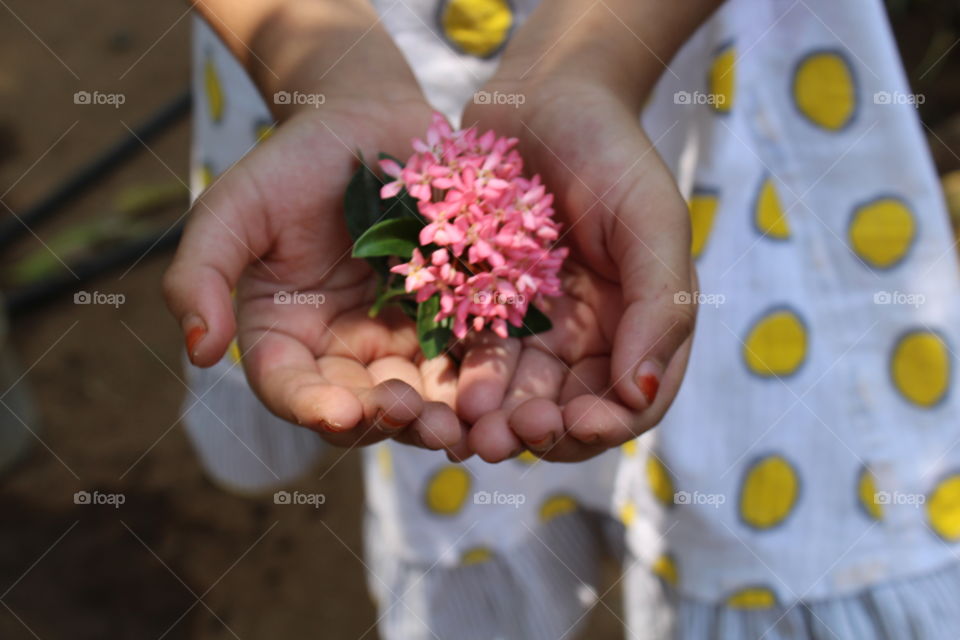 holding flowers