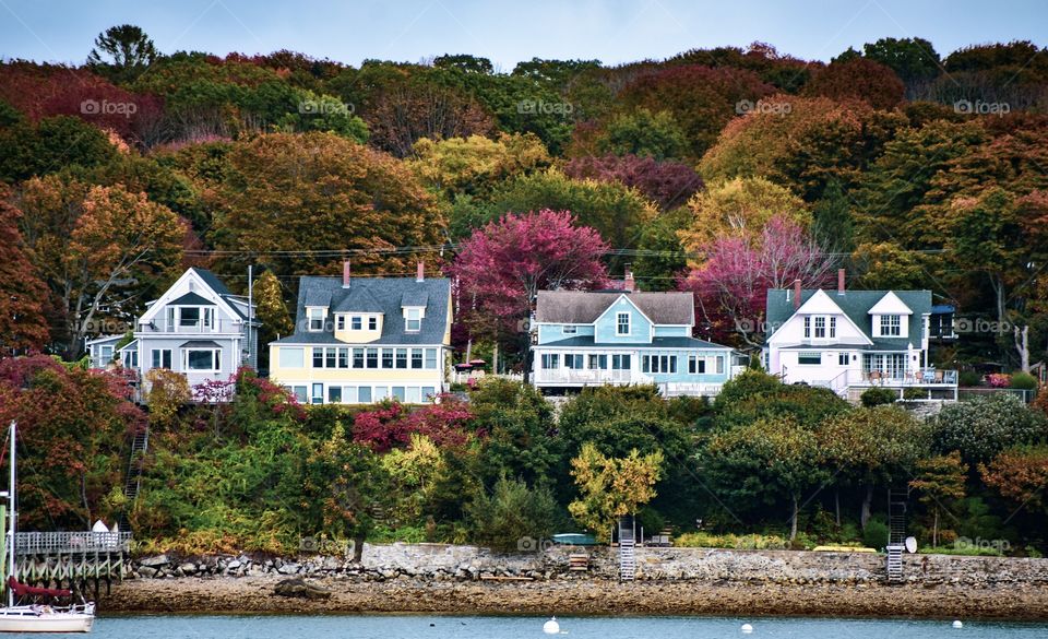 First time I witnessed fall season and fall colors and it immediately made me fall in love with it! Best season of all time!