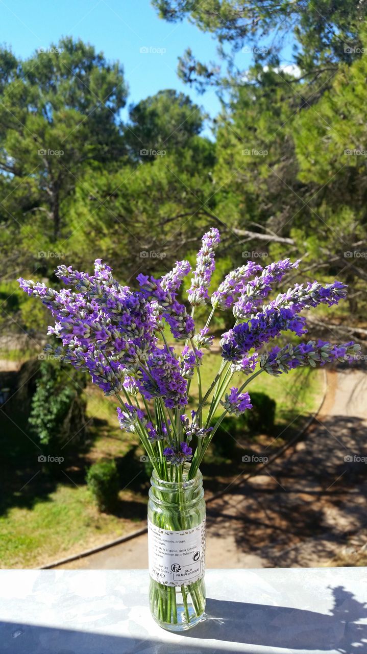 A vase with lavenders inside it