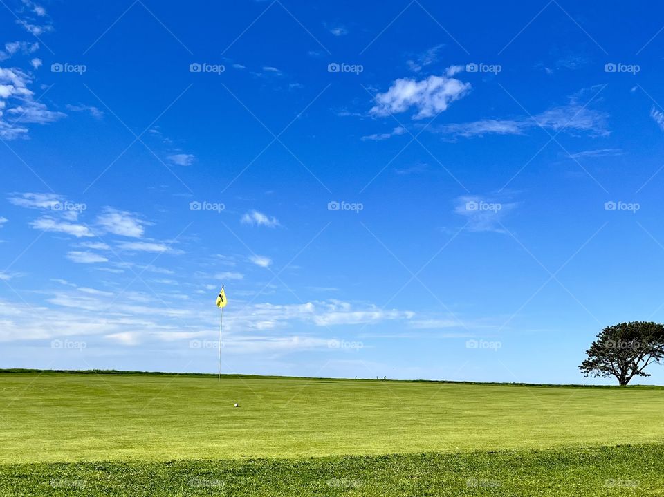 Torrey Pines Golf Course