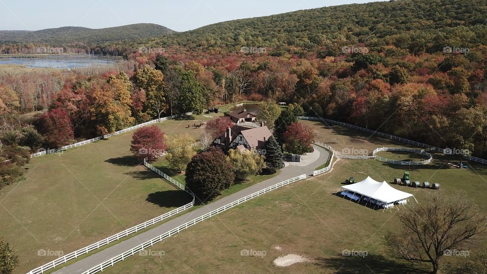 Party at a horse farm with fall leaves