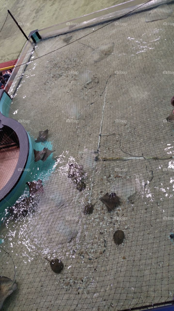 No Person, H2 O, Wet, Desktop, Old