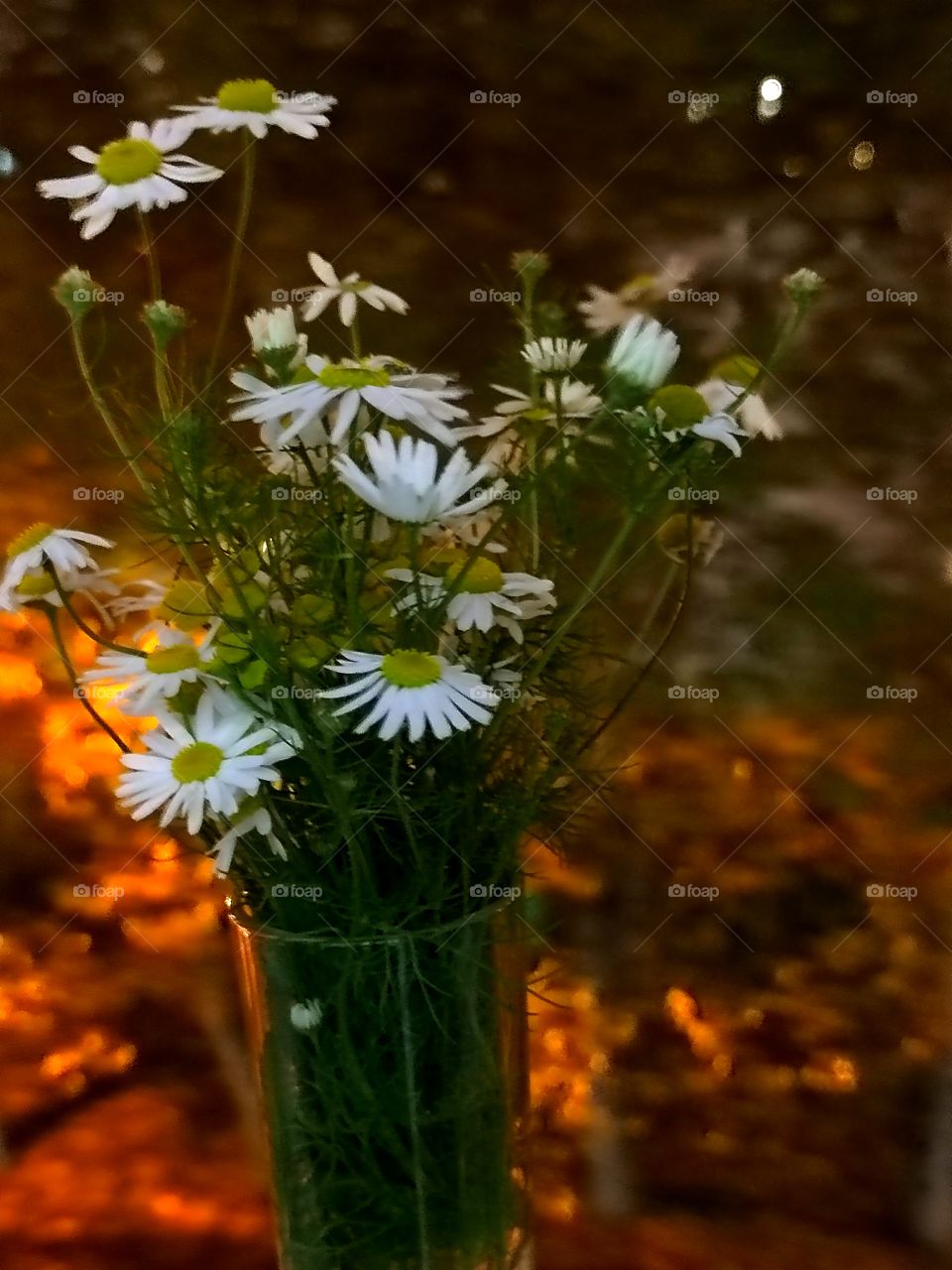 Glass with a bouquet of daisies at night against the background of street lamps