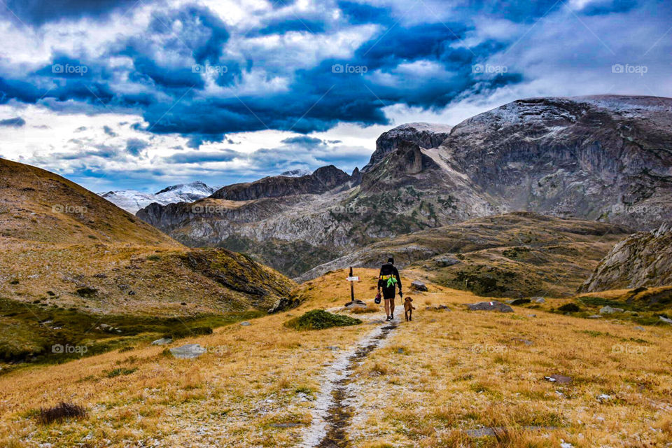 hiker with dog in a mountain landscape. 