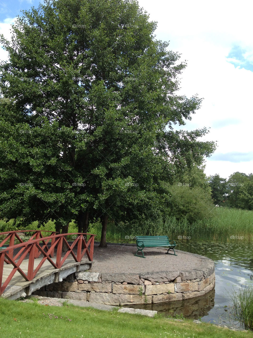tree pond park bridge by carina71